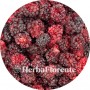 Mûre ordinaire (Fruit) - Rubus fructicosus, Frucus Rubi