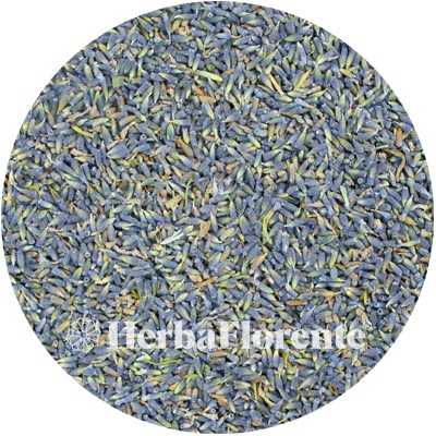 Lavendel Bloem Heel - Lavendula angustifolia Flor. Tot.