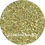Herbe d'absinthe - Artemisia absinthium - Coupée