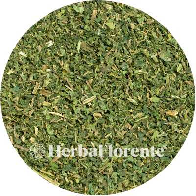 Ortie (Herbe) - Urticae dioica