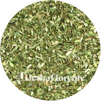 Echinacea (Coneflower) (Herb) - Echinaceae purp.